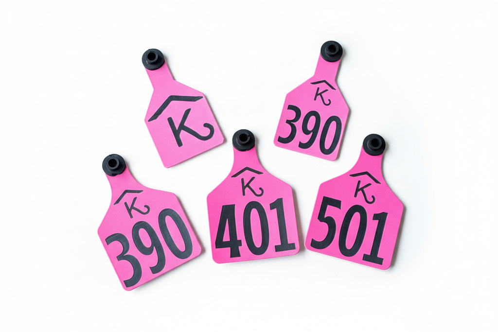 Large engraved cattle tags, pink, numbered 390, 401, 501, 507 with metal holes