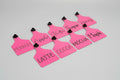 Large engraved cattle tags, pink, handwritten names Apple, Butter, Sugar, Cocoa, Mocha
