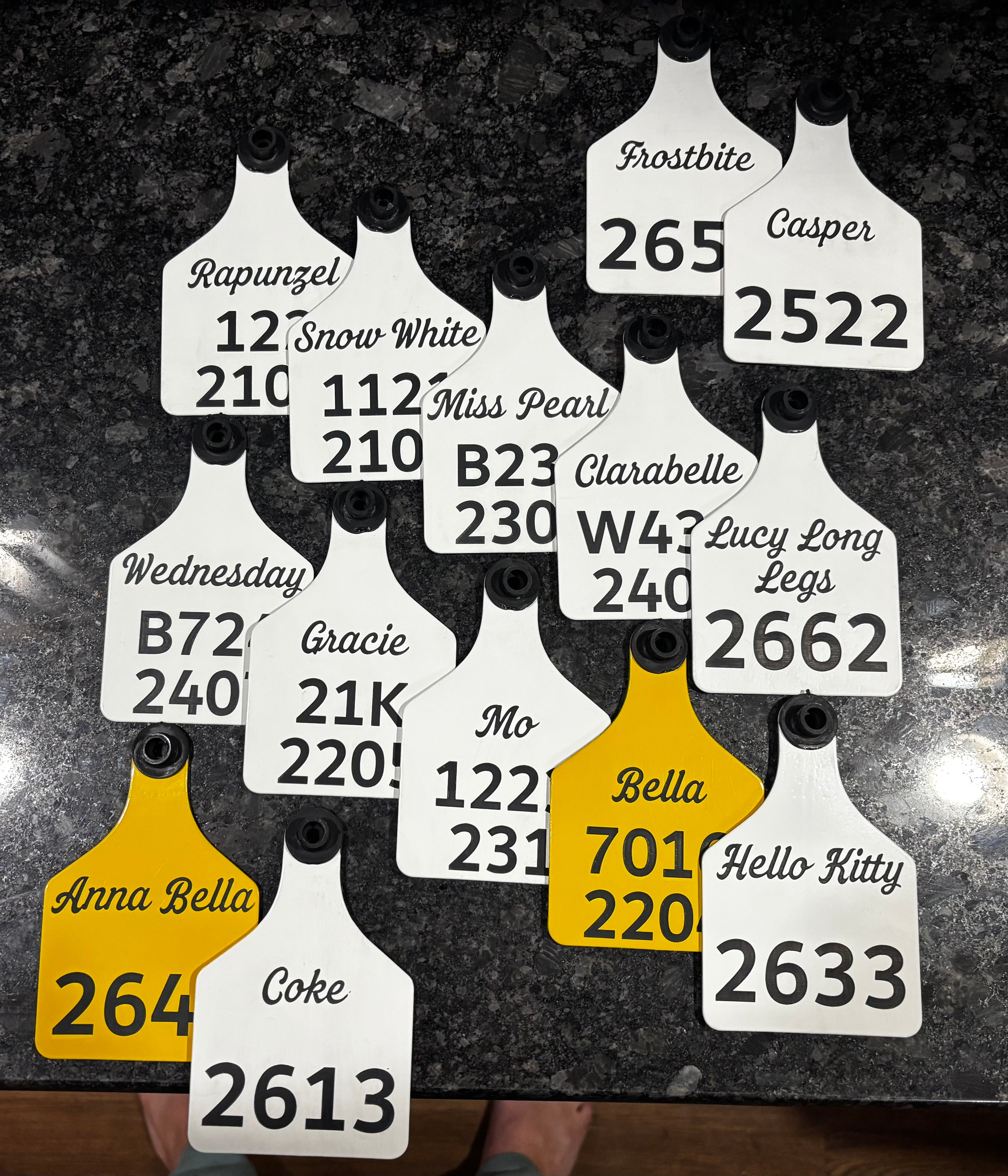 Set of white engraved cattle tags with names and numbers on a base
