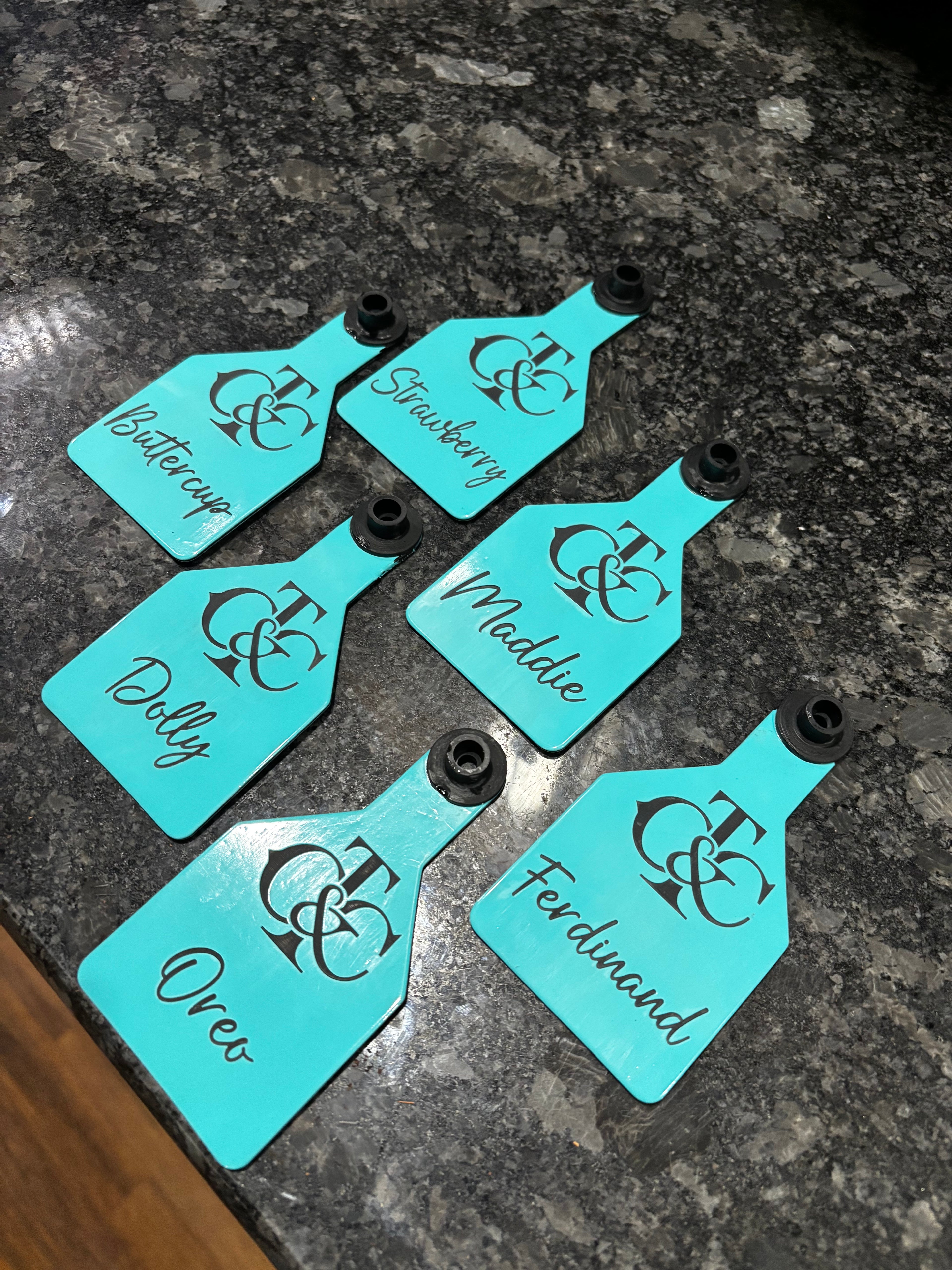 Turquoise engraved cattle tags with names, multiple pieces with black grommets