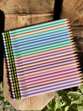 Pastel colored pencils, light blue and pink barrels with printed names